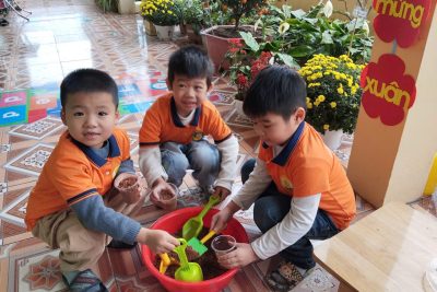Hoạt động trải nghiệm; ‘Bé gieo hạt nảy mầm” lớp 5TA3